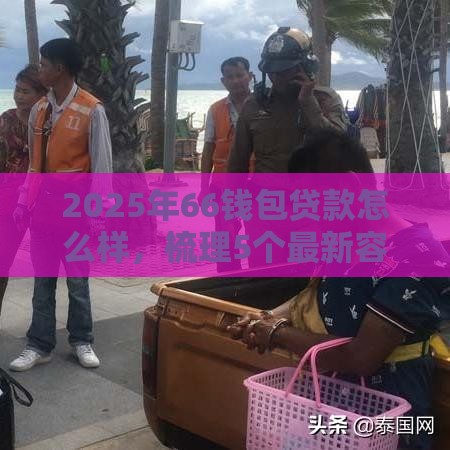 2025年66钱包贷款怎么样，梳理5个最新容易贷款平台