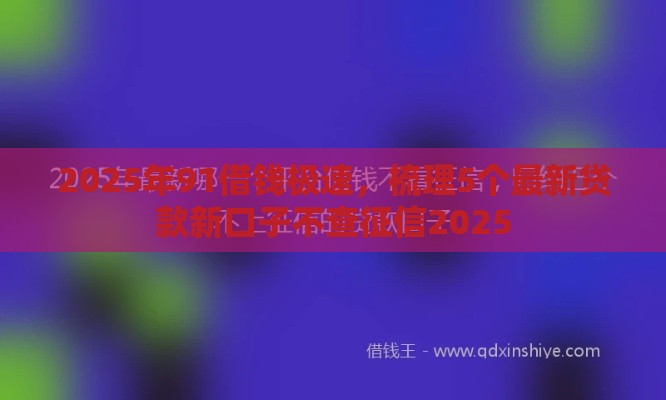 2025年91借钱极速，梳理5个最新贷款新口子不查征信2025