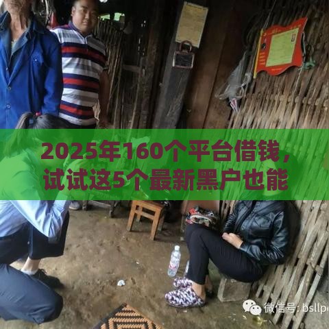 2025年160个平台借钱，试试这5个最新黑户也能贷的平台