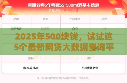 2025年500块钱，试试这5个最新网贷大数据查询平台