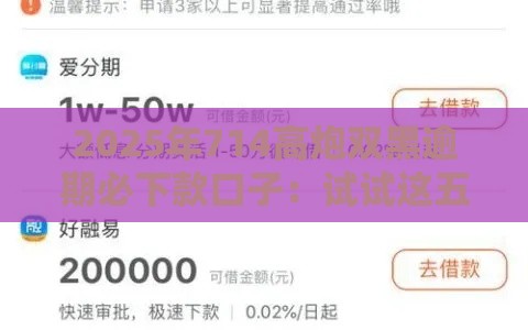 2025年714高炮双黑逾期必下款口子：试试这五个2025热门已经是黑户了还能借到钱的软件