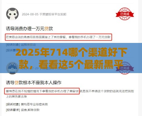 2025年714哪个渠道好下款，看看这5个最新黑平台贷款