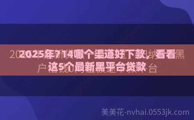2025年714哪个渠道好下款，看看这5个最新黑平台贷款
