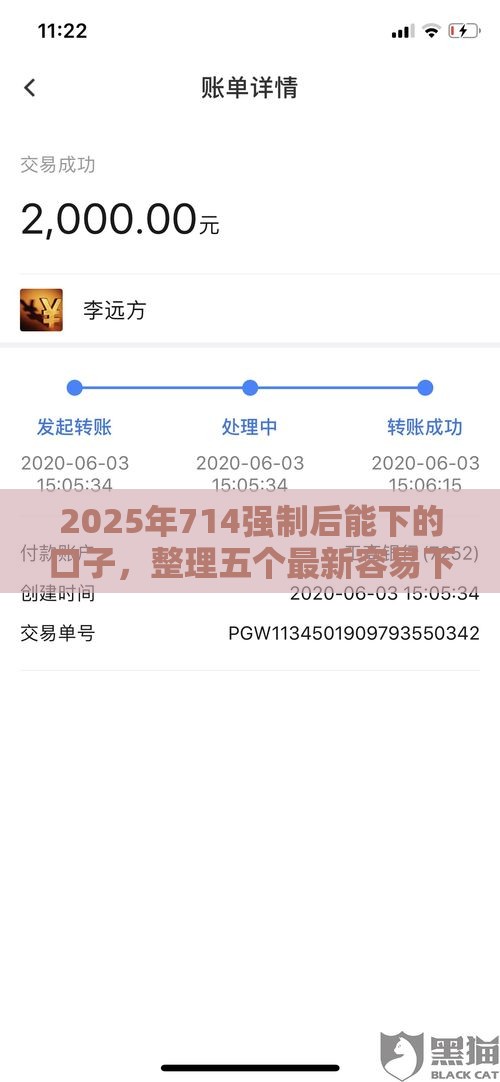 2025年714强制后能下的口子，整理五个最新容易下款的平台