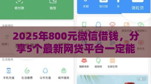 2025年800元微信借钱，分享5个最新网贷平台一定能借到钱