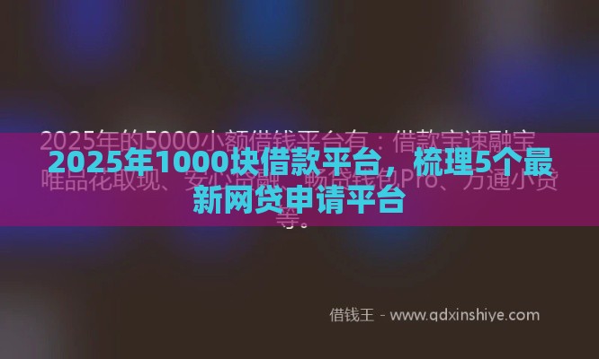 2025年1000块借款平台，梳理5个最新网贷申请平台