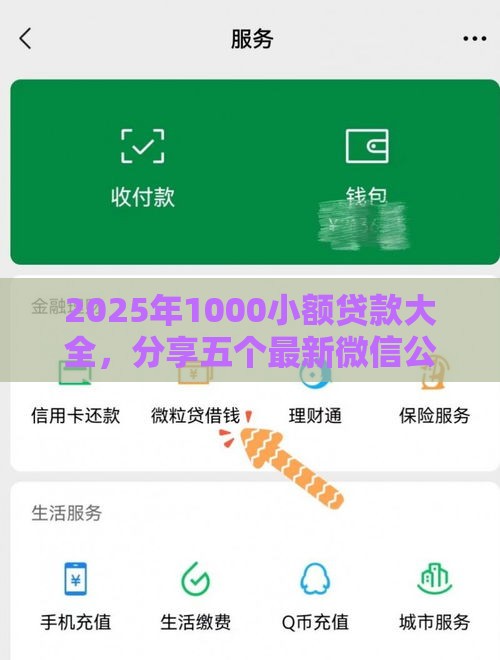 2025年1000小额贷款大全，分享五个最新微信公众号借钱平台