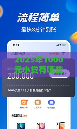 2025年1000元小贷有哪些，整合五个最新借款平台借钱快