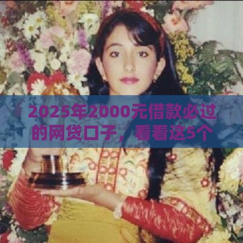 2025年2000元借款必过的网贷口子，看看这5个最新17岁能贷款的平台