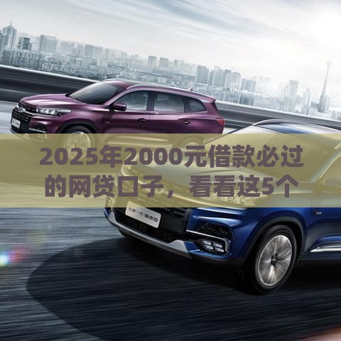 2025年2000元借款必过的网贷口子，看看这5个最新17岁能贷款的平台