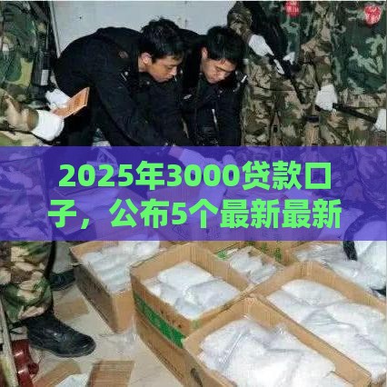 2025年3000贷款口子，公布5个最新最新包下款口子