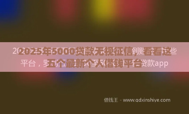 2025年5000贷款无视征信，看看这五个最新个人借钱平台
