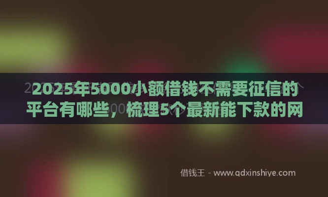 2025年5000小额借钱不需要征信的平台有哪些，梳理5个最新能下款的网贷平台