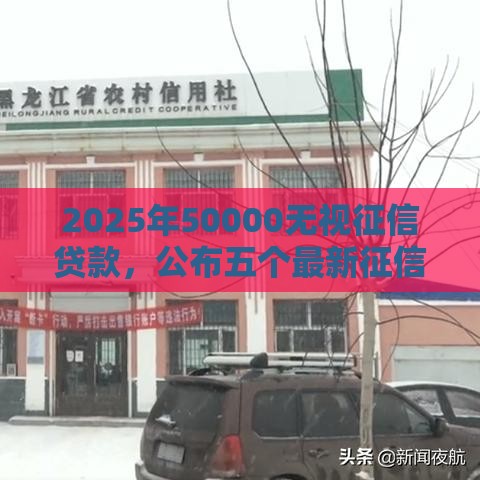 2025年50000无视征信贷款，公布五个最新征信不好,现在正规平台好下款