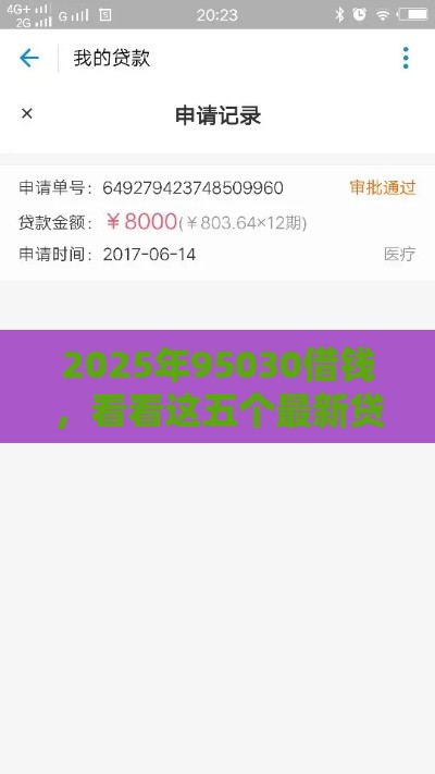 2025年95030借钱，看看这五个最新贷款平台审核通过的几率高