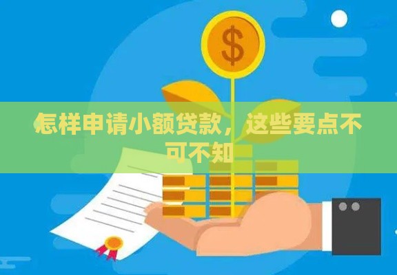 怎样申请小额贷款，这些要点不可不知