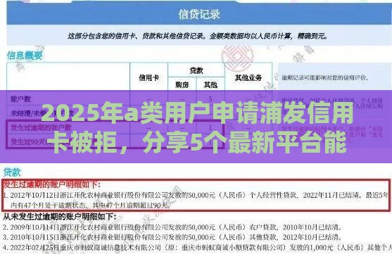 2025年a类用户申请浦发信用卡被拒，分享5个最新平台能不查征信直接看出来借款额度