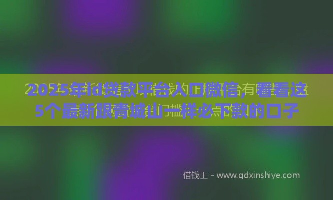 2025年id贷款平台入口微信，看看这5个最新跟青城山一样必下款的口子