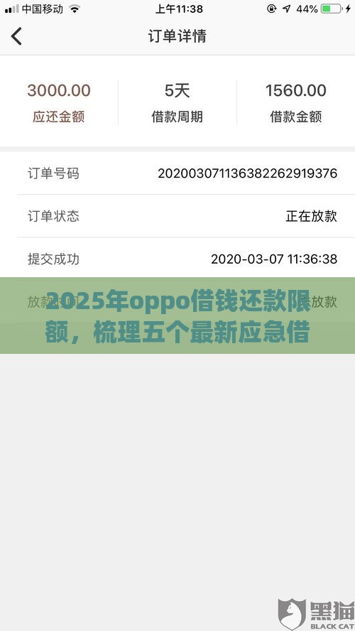 2025年oppo借钱还款限额，梳理五个最新应急借贷款500秒下平台