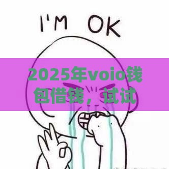 2025年voio钱包借钱，试试这5个最新网贷中介平台