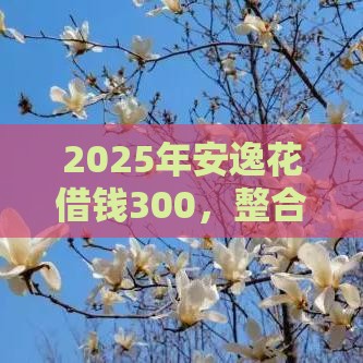 2025年安逸花借钱300，整合5个最新大型贷款平台