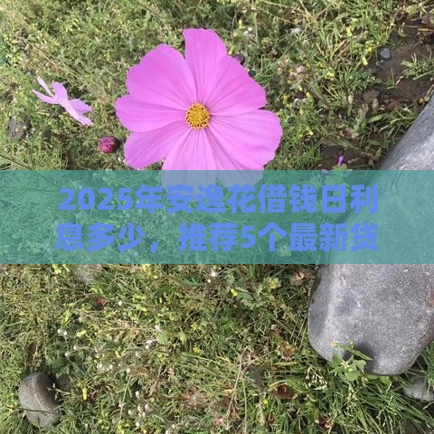 2025年安逸花借钱日利息多少，推荐5个最新贷款利息最低的平台