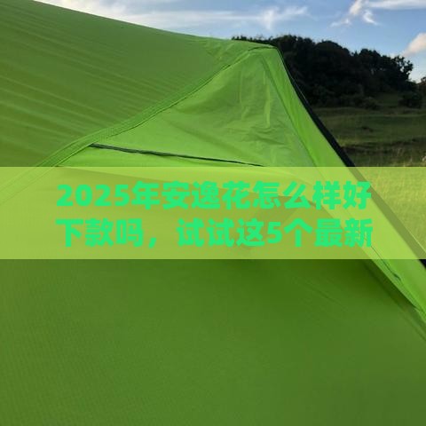 2025年安逸花怎么样好下款吗，试试这5个最新网贷全拒了还能撸的口子