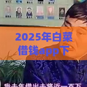2025年白菜借钱app下载，分享五个最新现在能借钱的平台