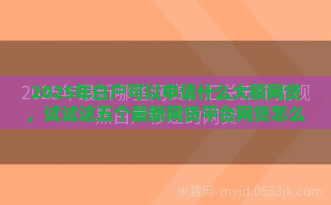 2025年白户可以申请什么大额网贷，试试这五个最新网贷平台网贷怎么样