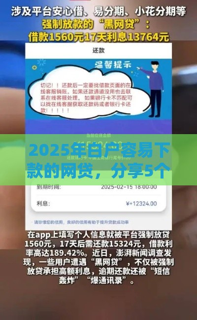 2025年白户容易下款的网贷，分享5个最新黑平台贷款