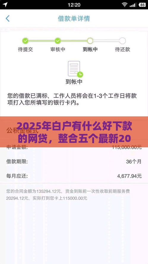 2025年白户有什么好下款的网贷，整合五个最新2025年借贷新口子