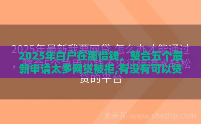 2025年白户在那借钱，整合五个最新申请太多网贷被拒,有没有可以贷款的平台