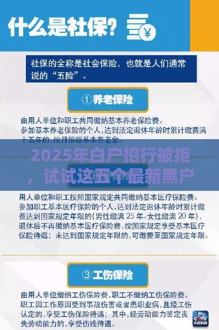 2025年白户招行被拒，试试这五个最新黑户平台能借到钱的