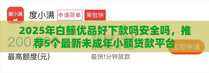 2025年白鲸优品好下款吗安全吗，推荐5个最新未成年小额贷款平台