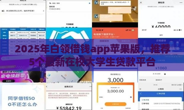 2025年白领借钱app苹果版，推荐5个最新在校大学生贷款平台