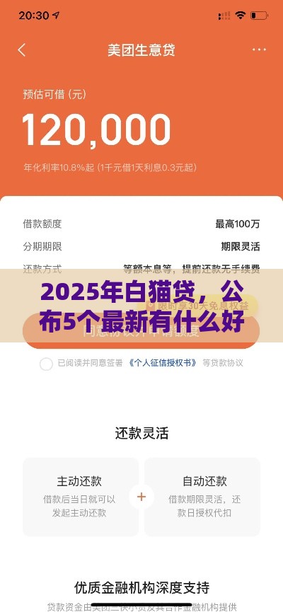 2025年白猫贷，公布5个最新有什么好借钱的平台