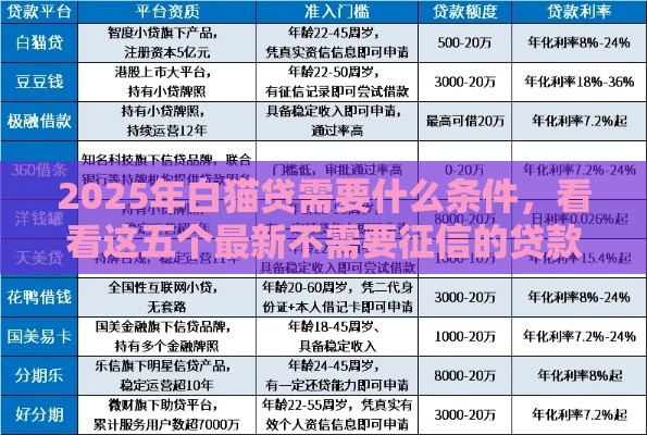 2025年白猫贷需要什么条件，看看这五个最新不需要征信的贷款平台