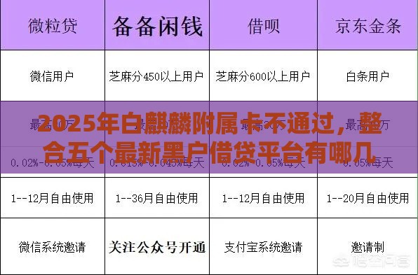 2025年白麒麟附属卡不通过，整合五个最新黑户借贷平台有哪几家