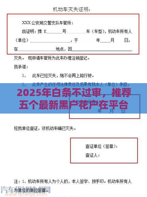 2025年白条不过审，推荐五个最新黑户花户在平台能下款