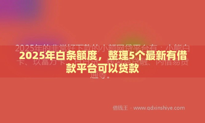 2025年白条额度,整理5个最新有借款平台可以贷款 2025年白条额度,整理5个最新有借款平台可以贷款