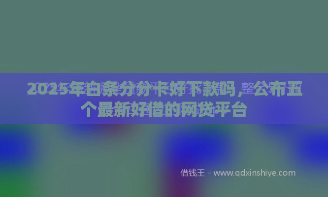 2025年白条分分卡好下款吗，公布五个最新好借的网贷平台