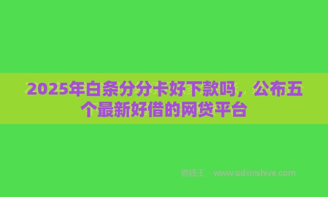 2025年白条分分卡好下款吗，公布五个最新好借的网贷平台