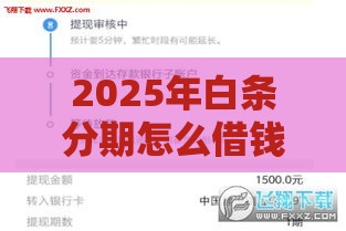 2025年白条分期怎么借钱，梳理五个最新黑户下款的口子还
