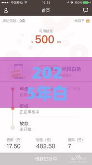 2025年白条分期怎么借钱，梳理五个最新黑户下款的口子还