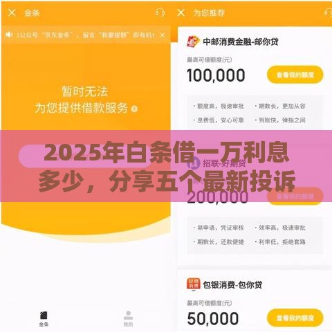 2025年白条借一万利息多少，分享五个最新投诉贷款平台