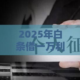 2025年白条借一万利息多少，分享五个最新投诉贷款平台