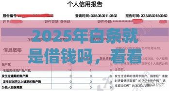 2025年白条就是借钱吗，看看这5个最新不看征信的网贷平台