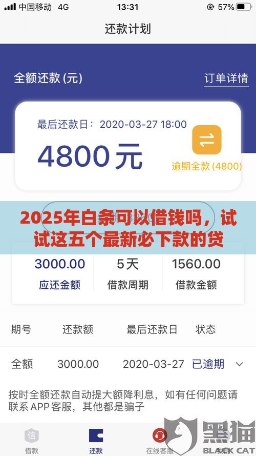2025年白条可以借钱吗，试试这五个最新必下款的贷款平台
