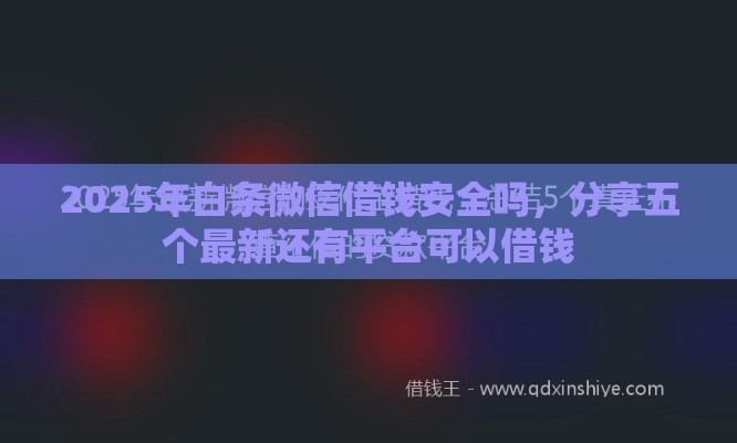 2025年白条微信借钱安全吗，分享五个最新还有平台可以借钱