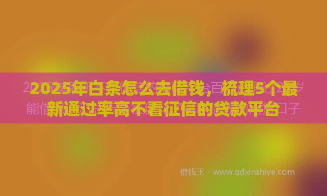 2025年白条怎么去借钱,梳理5个最新通过率高不看征信的贷款平台 2025年白条怎么去借钱,梳理5个最新通过率高不看征信的贷款平台